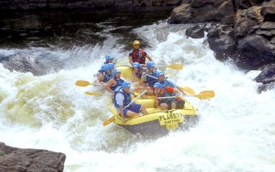 Staying Focused on Your Fight